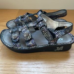 Alegria KLE-729 Special‎ Rainbow Pebbly Leather Adjustable Strap Sandals Size 39